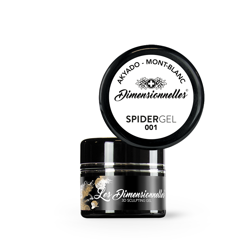 Dimensionnelles Spider 001 Mont-Blanc