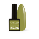 Gel Polish Color - 25.06